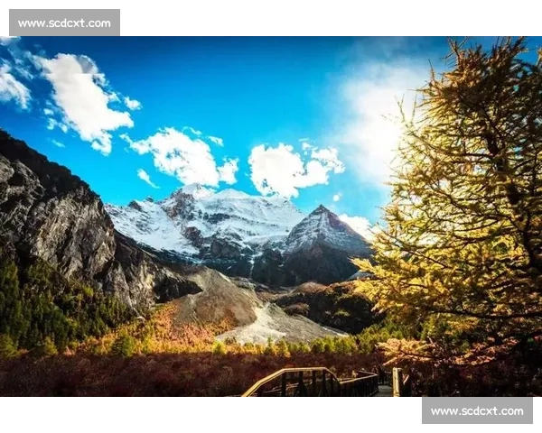 伊萨克：压力真实存在，但我们远未达标